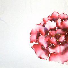 燃える牡丹・赤