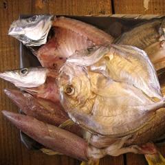 カネマスの一刻干し詰め合わせ　(冷蔵） 