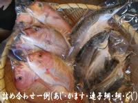 カネマスの一刻干し詰め合わせ大セット　(冷凍） 