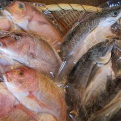 カネマスの一刻干し詰め合わせ大セット　(冷凍） 