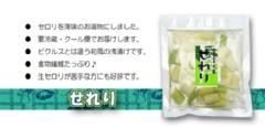 せれり（セロリ浅漬）[P-celery] 
