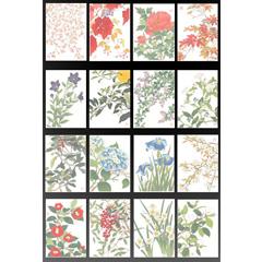 河原崎奨堂　花版画　ハガキ９枚セット