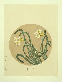 伊藤若冲　花卉天井絵　木版画 水仙