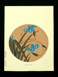 伊藤若冲　花卉天井絵　木版画 かきつばた