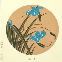 伊藤若冲　花卉天井絵　木版画 かきつばた