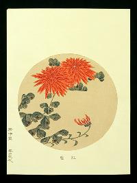 伊藤若冲　花卉天井絵　木版画 紅菊