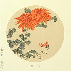 伊藤若冲　花卉天井絵　木版画 紅菊