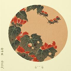 伊藤若冲　花卉天井絵　木版画　たちあおい