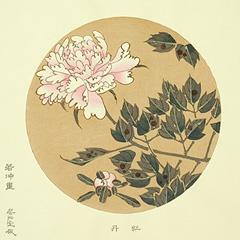 伊藤若冲　花卉天井絵　木版画　牡丹２