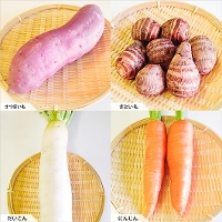 京の冬野菜詰め合わせBOX　大