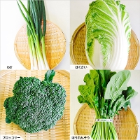 京の冬野菜詰め合わせBOX　大